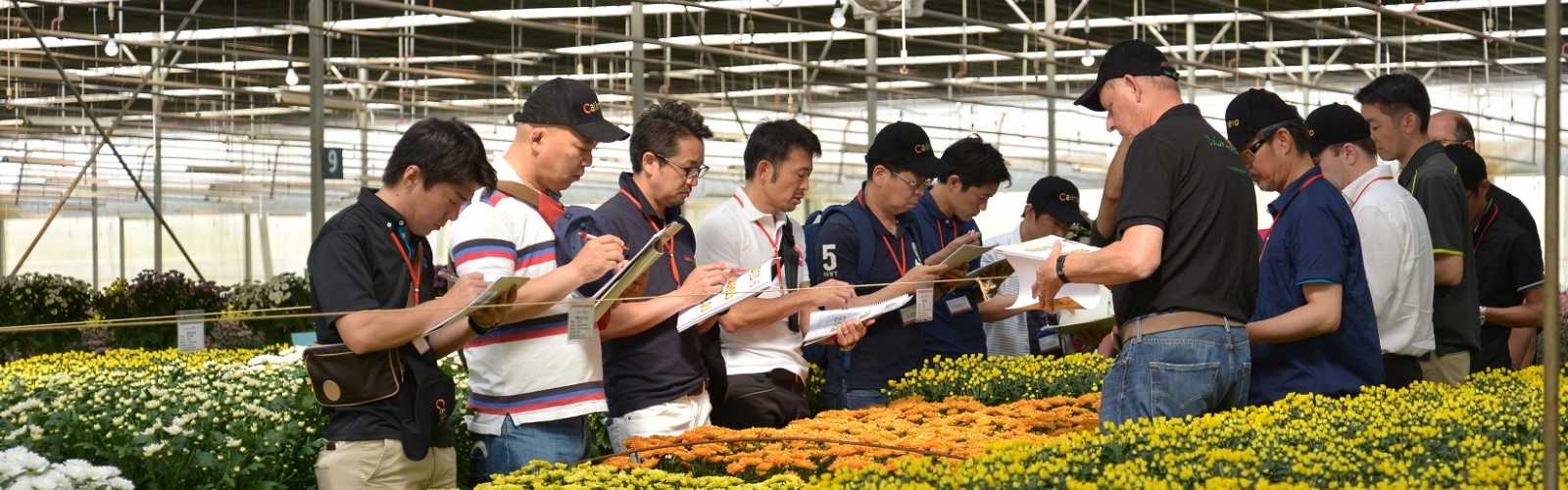 Press Release Dalat Hasfarm Flower Trials 2017 - 3rd Edition