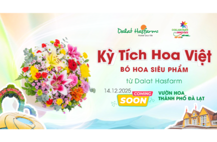 Kỳ Tích Hoa Việt – Bó Hoa Siêu Phẩm Từ Dalat Hasfarm Sắp Xuất Hiện