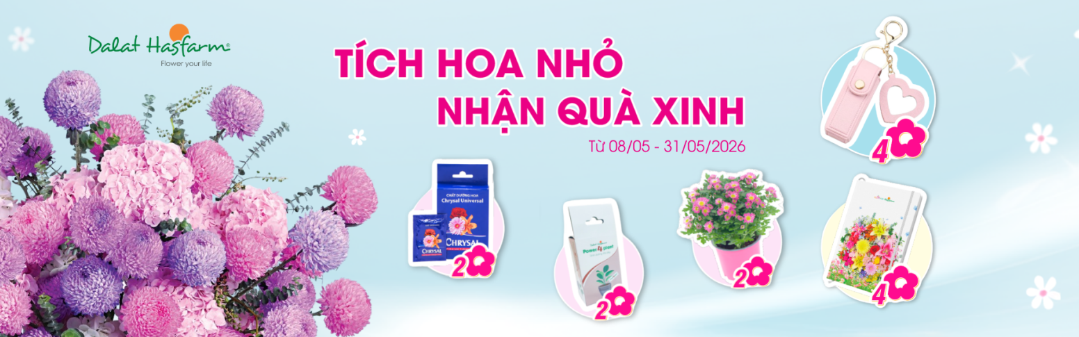 Tích Hoa Nhỏ - Nhận Quà Xinh