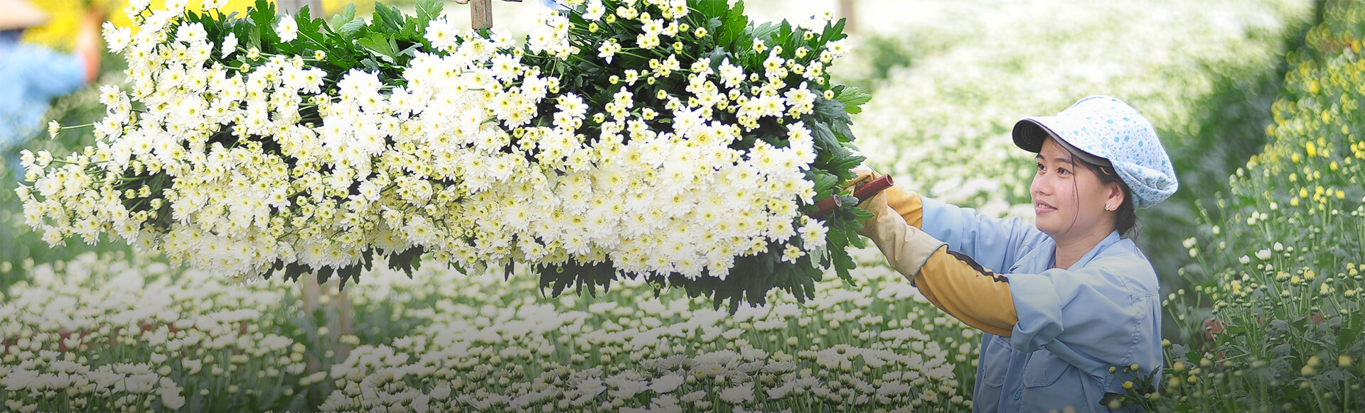 Dalat Hasfarm Hỗ Trợ Xây Dựng Nhà Tình Thương - Chung Tay Vì Cộng Đồng