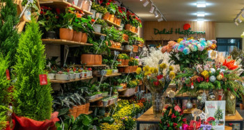 Trung tâm phân phối