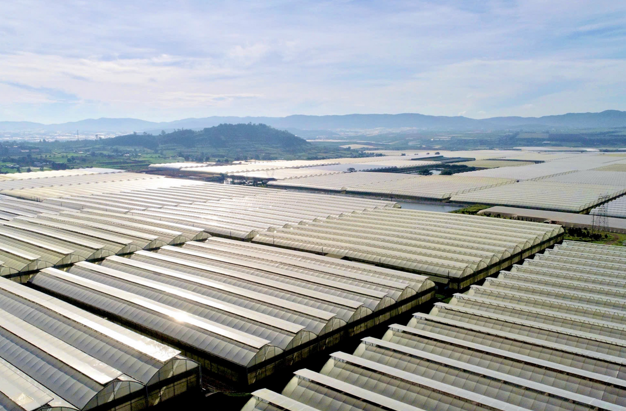 Hasfarm chính thức ký kết thỏa thuận mua lại Lynch Group