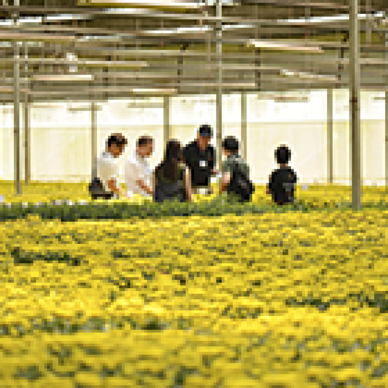 Giới thiệu về Dalat Hasfarm
