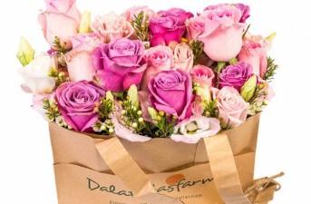 Nhân Viên Kinh Doanh (làm việc tại Hà Nội)