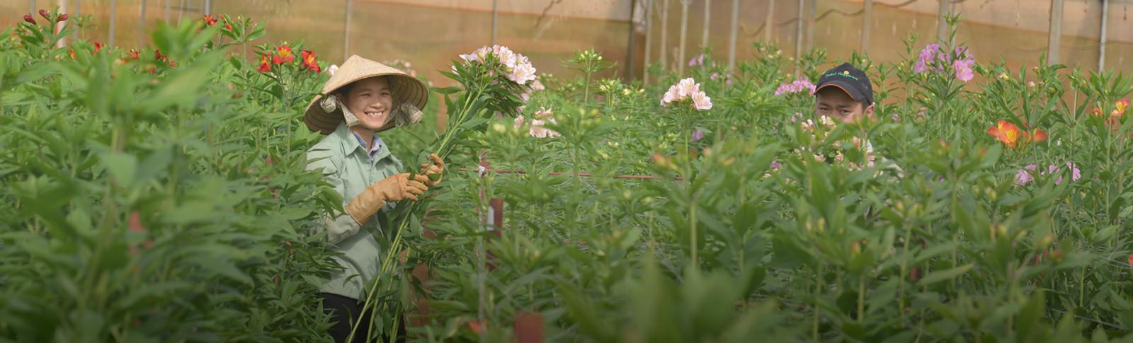 Tại sao chọn Dalat Hasfarm?