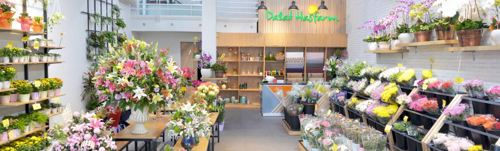 Dalat Hasfarm chào mừng bạn ghé thăm!