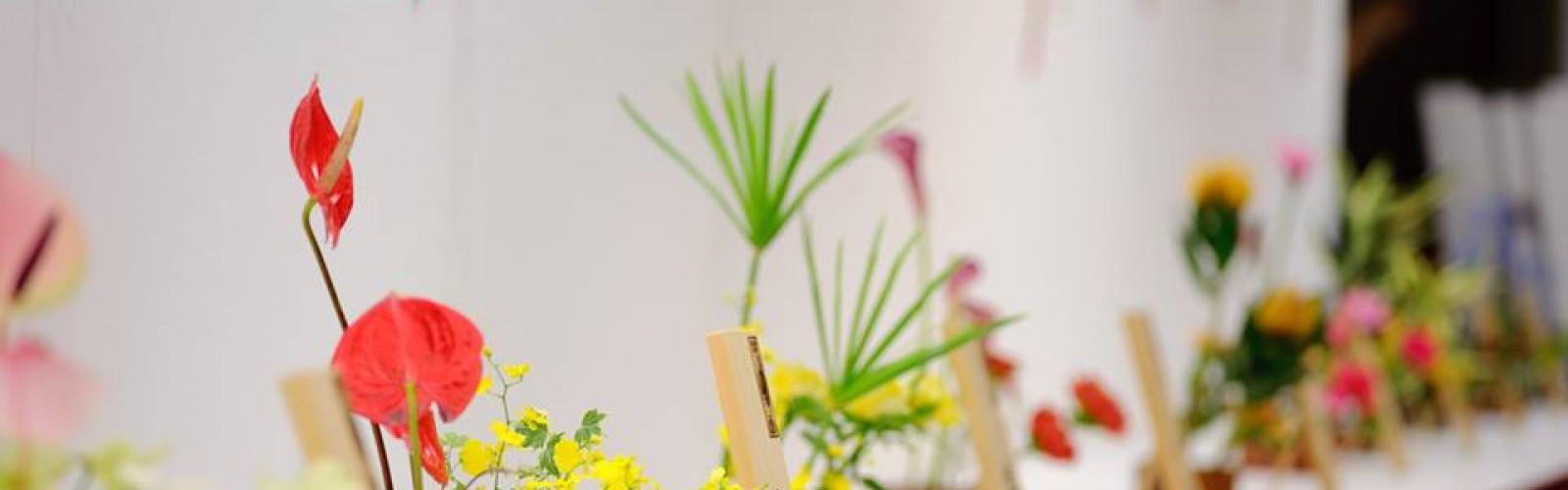 TCBC - Tinh túy nghệ thuật cắm hoa Nhật Bản