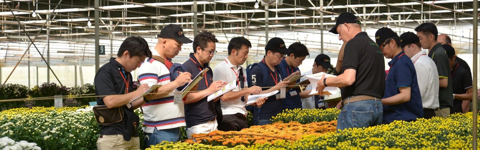 TCBC - Dalat Hasfarm tổ chức giới thiệu hoa thử nghiệm (flowers trial 2017) – NGÀY HỘI CỦA SỰ ĐỔI MỚI