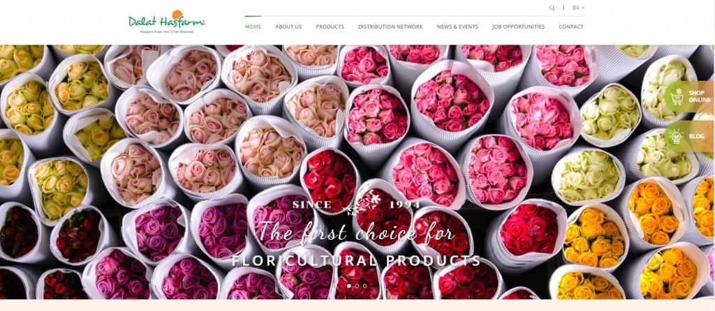 Dalat Hasfarm launches its new website with amazing features