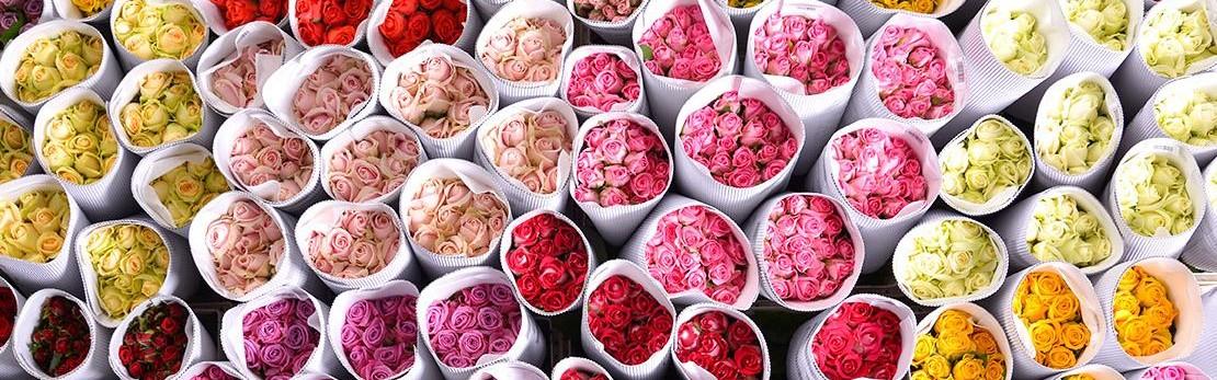 Nghệ nhân Nguyễn Mạnh Hùng chia sẻ về "Hoa Sạch An Toàn"