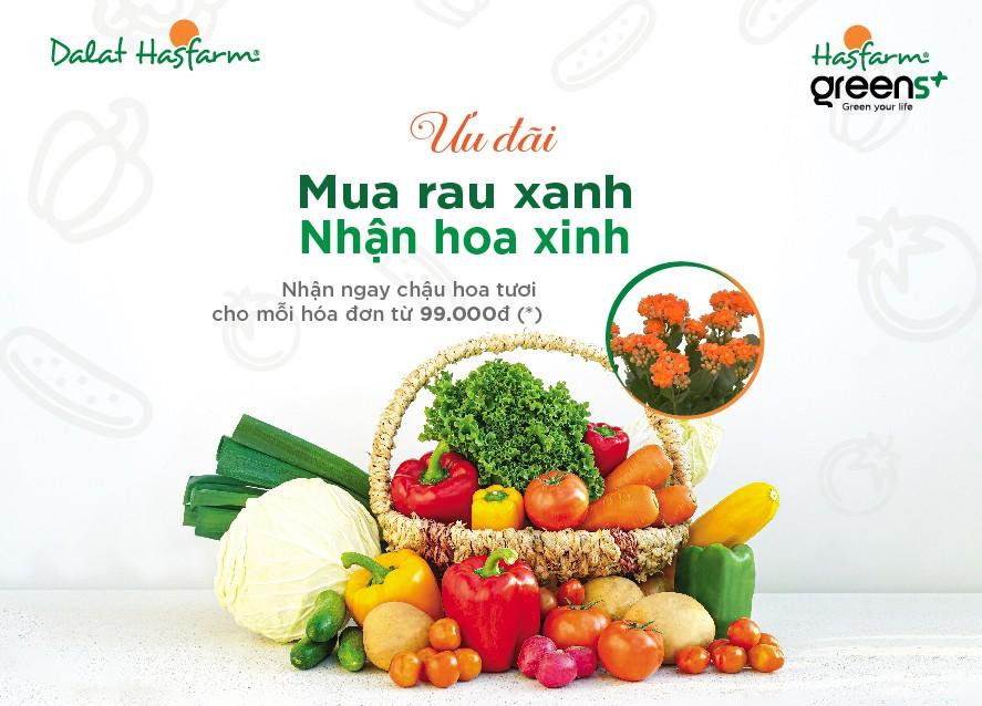 Hasfarm Greens+ triển khai chương trình “Mua rau xanh, nhận hoa xinh” tại Hà Nội