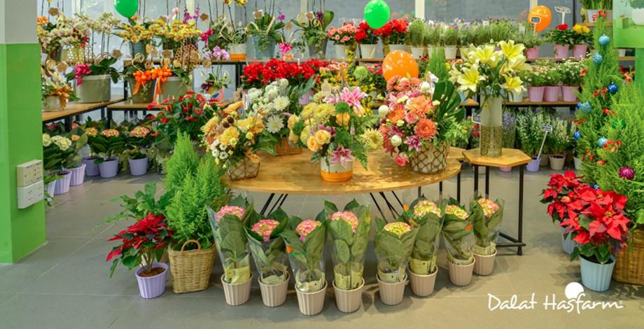 Cửa hàng mới tại Bình Thạnh chính thức mở bán