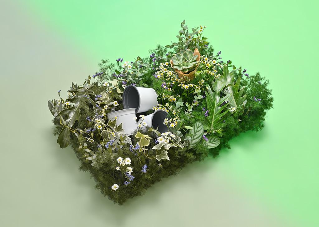 Chuỗi hoạt động về chương trình Sustainability tại Dalat Hasfarm