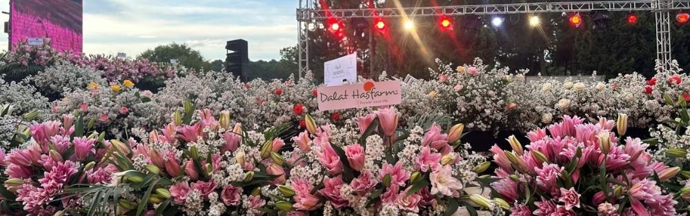 Dalat Hasfarm Lights Up “Hương Sắc Cao Nguyên”