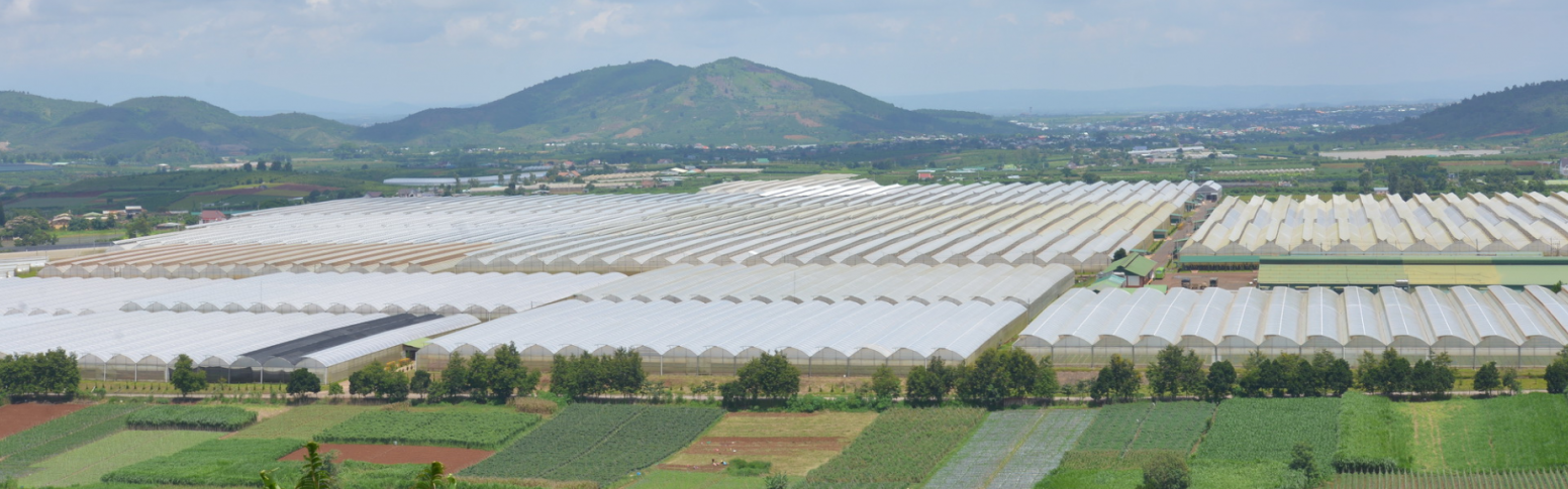 Hasfarm mở rộng quy mô với 100 hecta đất mới tại Lâm Đồng