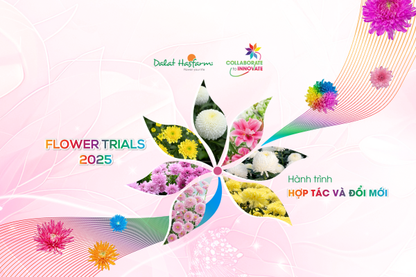 DALAT HASFARM FLOWER TRIALS 2025 – HOUSE OF THE FUTURE