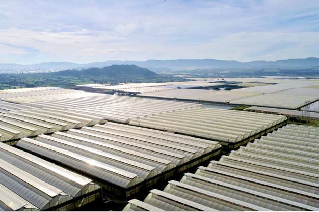 Hasfarm enters into agreement to acquire Lynch Group