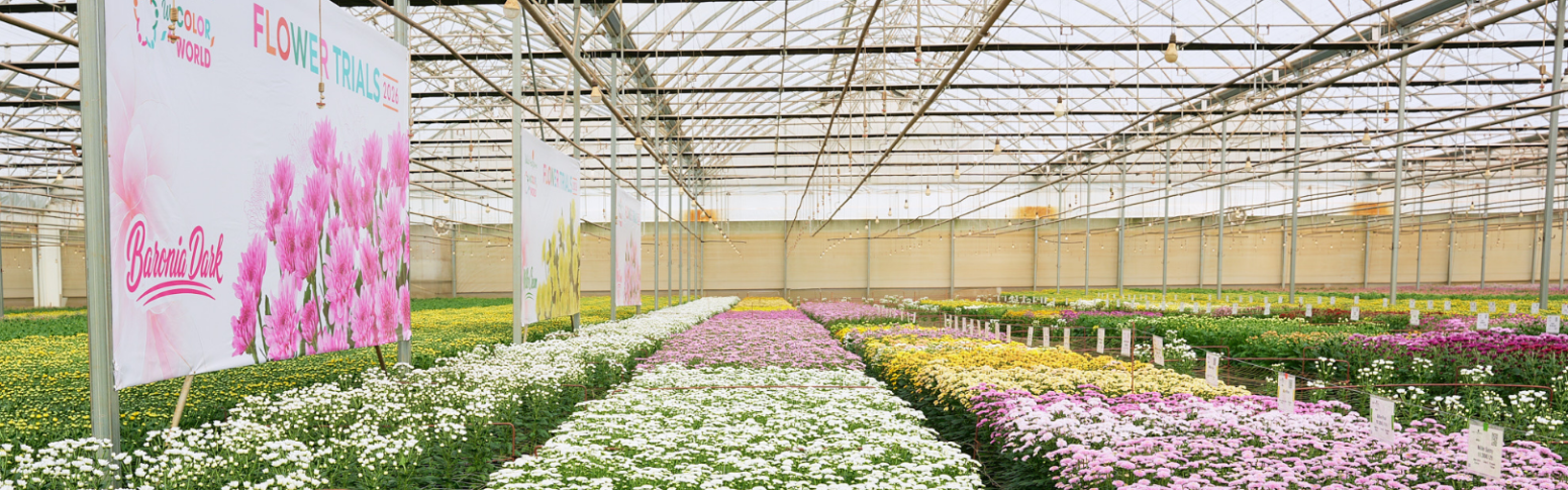 Flower Trials 2026: Hành Trình Khám Phá Tương Lai Ngành Hoa