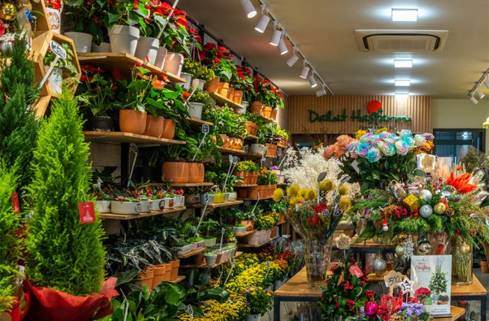 Dalat Hasfarm khai trương cửa hàng mới tại Quận 2