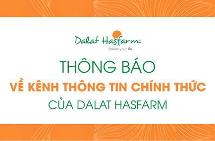 Thông báo về các kênh thông tin chính thức của Dalat Hasfarm