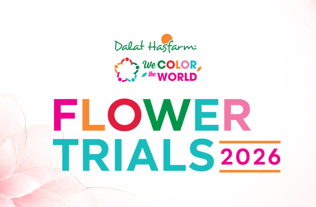 Flower Trials 2026: Hành Trình Khám Phá Tương Lai Ngành Hoa